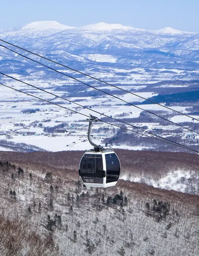 imgi_15_shutterstock_1942298947_grand_hirafu_700x900