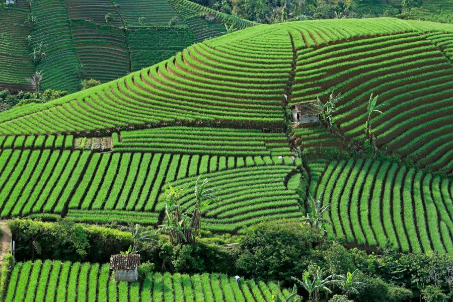 Indonesia