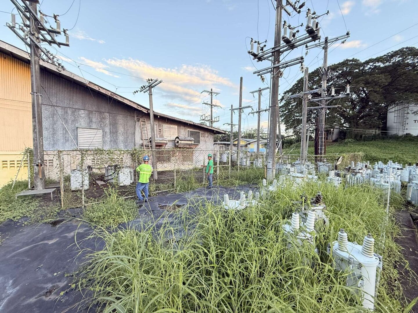 Transformer Upgrade & Extension at BFM (23)