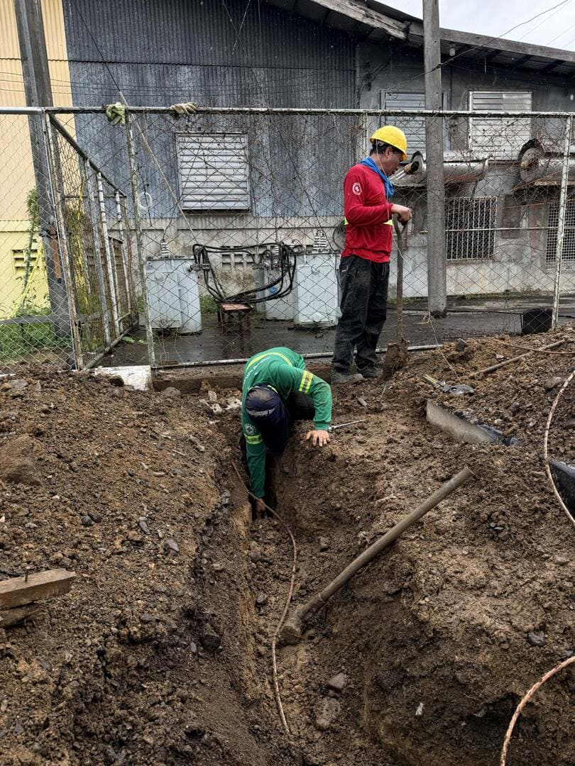 Transformer Upgrade & Extension at BFM (26)