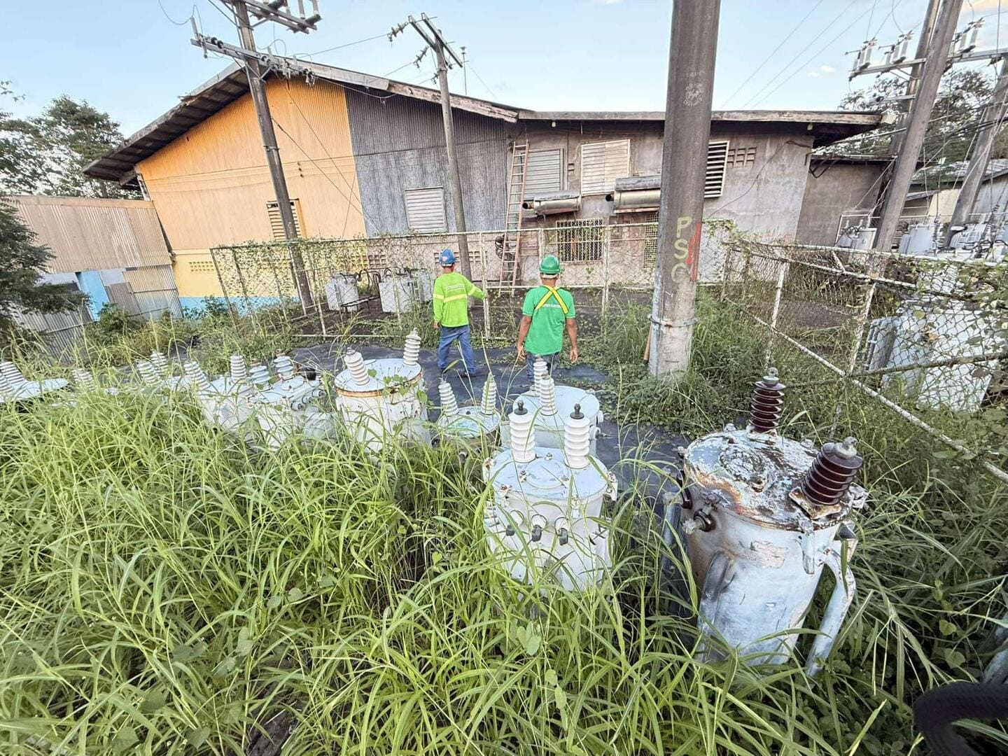 Transformer Upgrade & Extension at BFM (35)