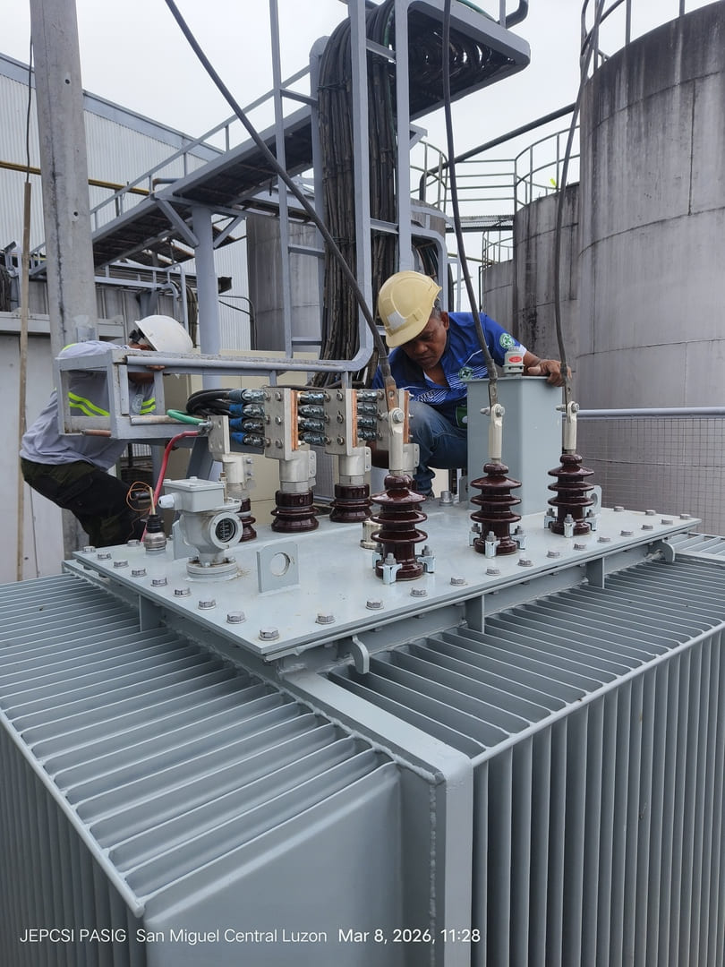 Transformer Upgrade & Extension at BFM (6)
